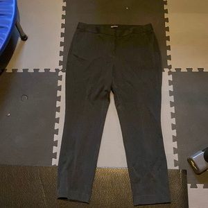 Express 12R Dress Pants